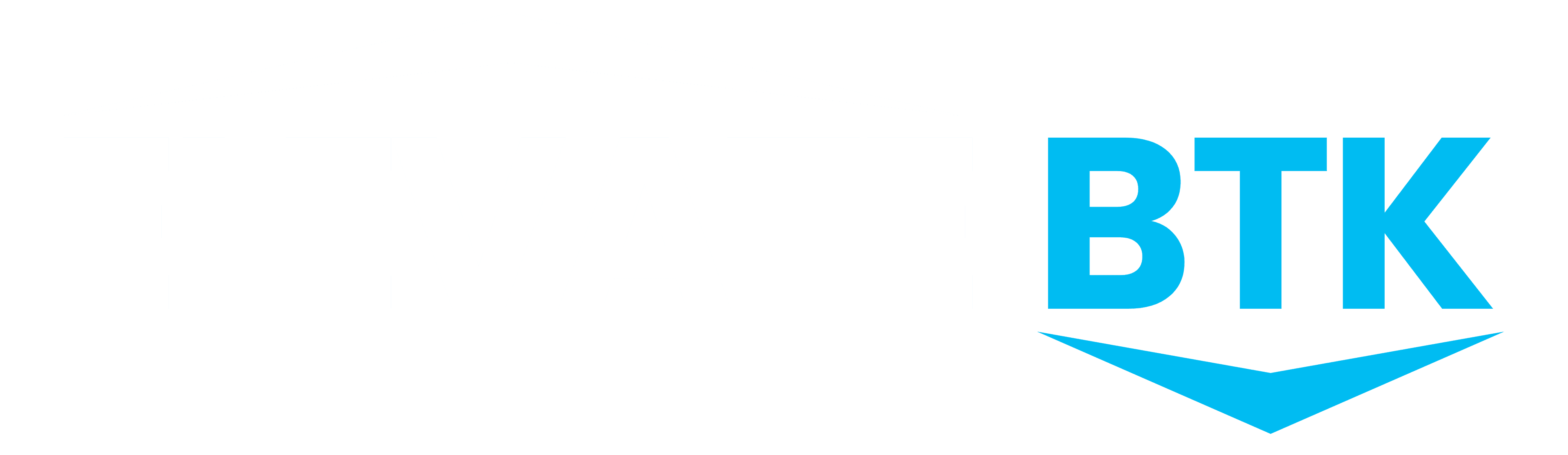 Elevate Iliac