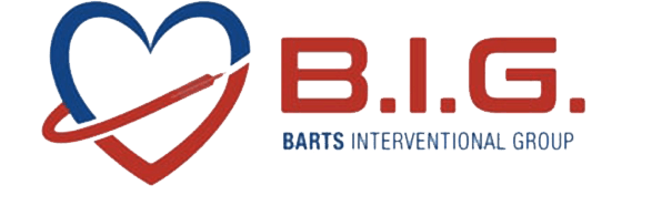B.I.G. logo